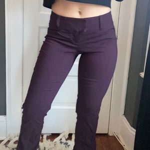 Deep purple Dress Pants